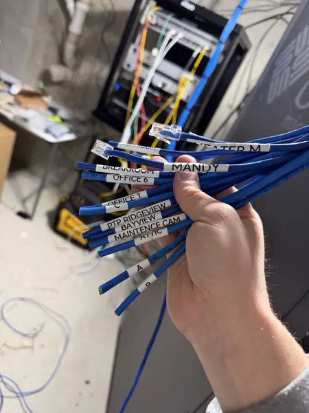 Labeled Cat6 cables ready for termination
